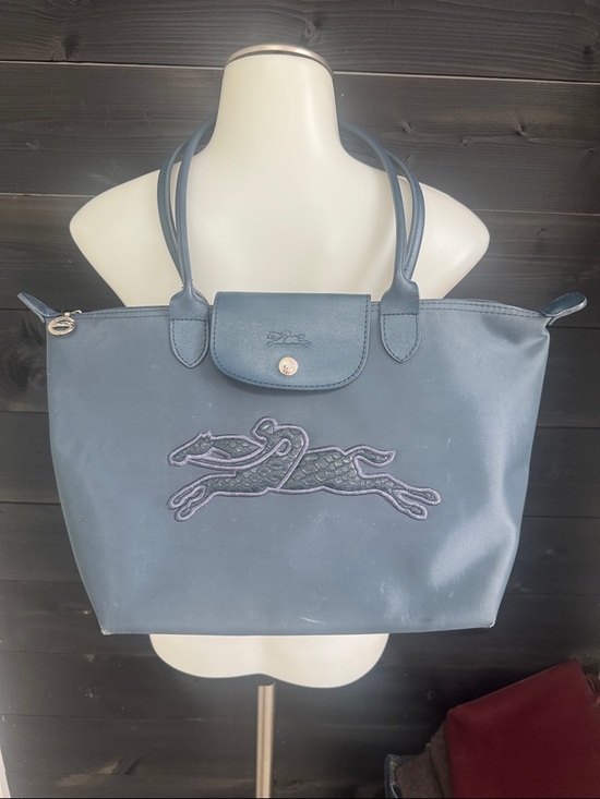 Longchamp Handbags - Long Champ Victoire Limited Edition Small Navy Bag